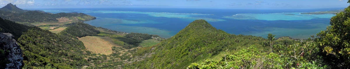 East Coast, Mauritius (carrotmadman6)  [flickr.com]  CC BY 
Informazioni sulla licenza disponibili sotto 'Prova delle fonti di immagine'